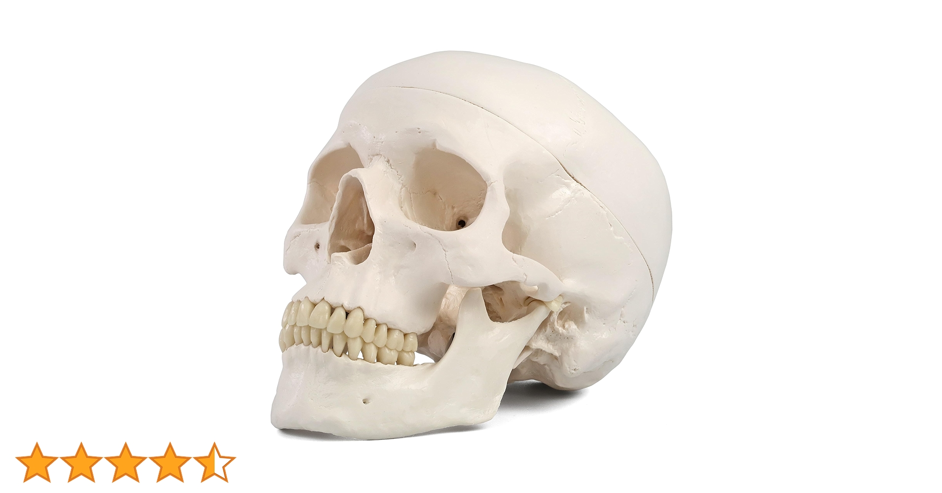 71ELQ+mEr8L.jpg_BO30,255,255,